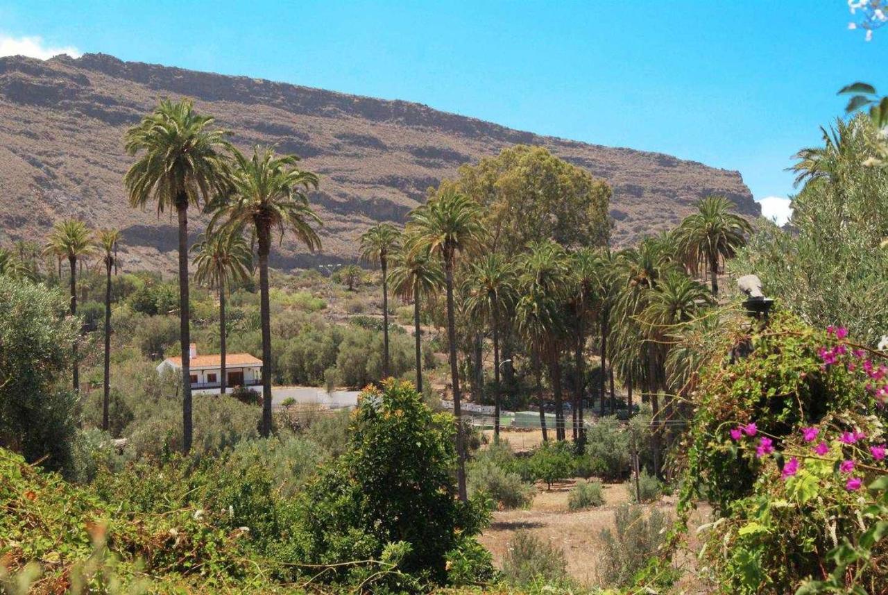 Casa Rural El Olivar La Almazara Santa Lucia Exterior foto